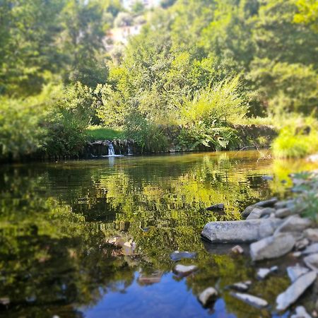 Pampihouse, Casa De Xisto Junto Ao Rio Pampilhosa da Serra Bagian luar foto