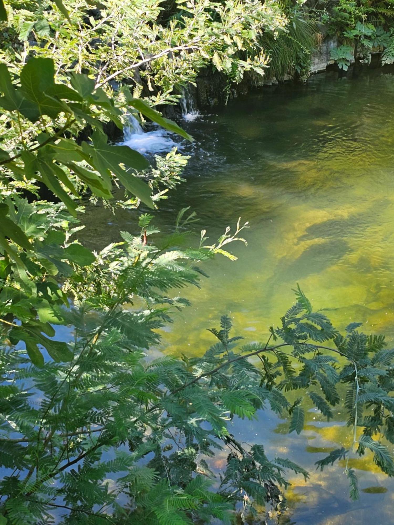 Pampihouse, Casa De Xisto Junto Ao Rio Pampilhosa da Serra Bagian luar foto