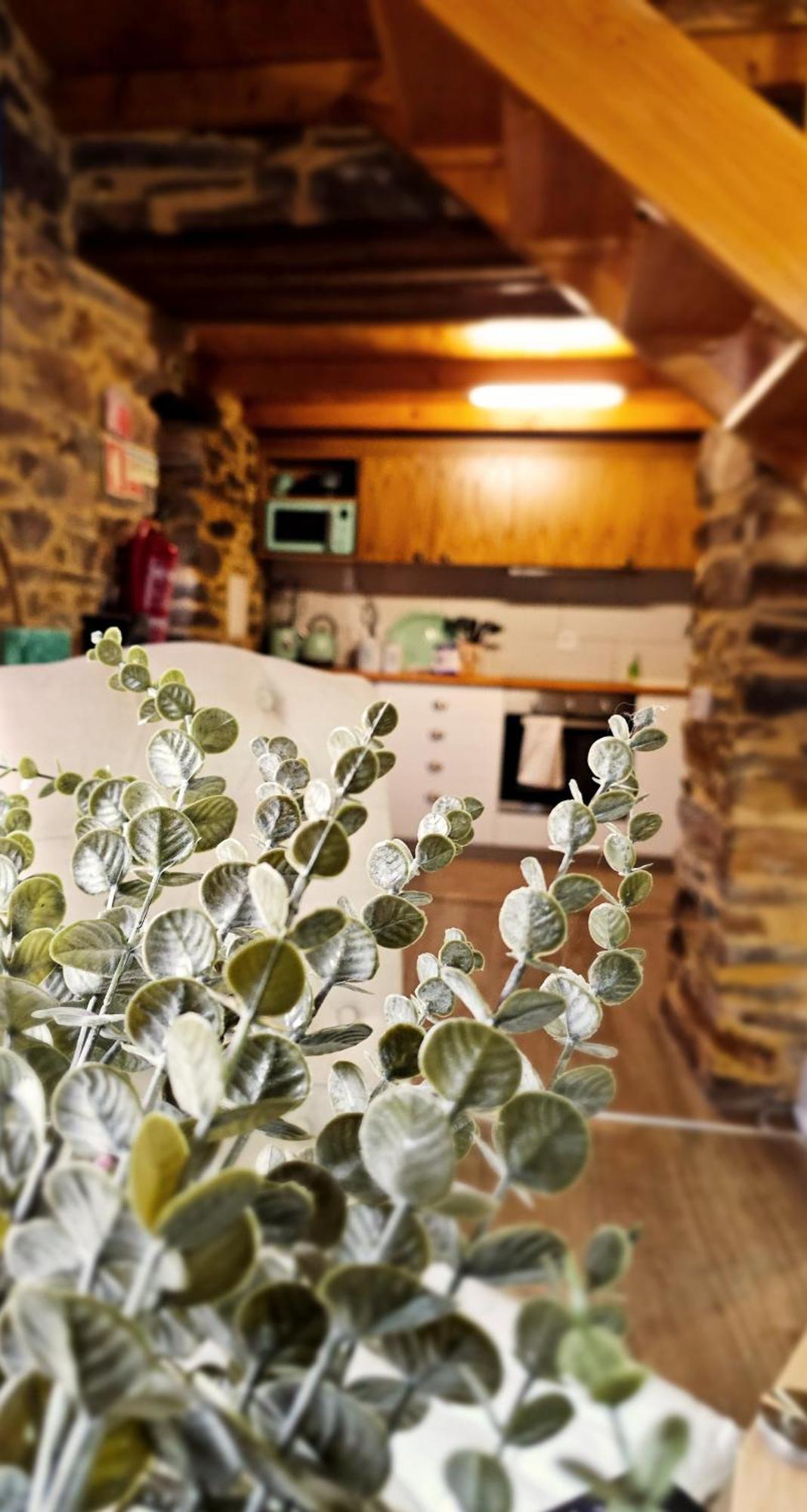 Pampihouse, Luxury Rustic House Near River Pampilhosa da Serra Bagian luar foto